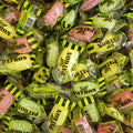 Konfekta Sour Patroner