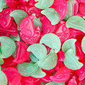 Sweet Cats Gummy